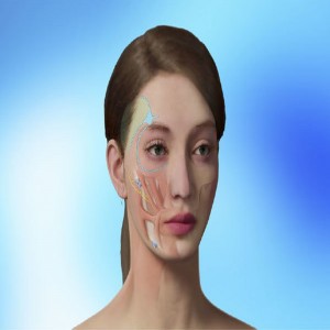 Mendelson Deep Plane Face Lift and Mayo Clinic Aesthetic Facial Contouring Hands-on Surgical Skills