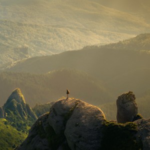 Rewilding Retreat