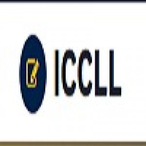 9th International Conference on Culture, Languages and Literature (ICCLL 2023)