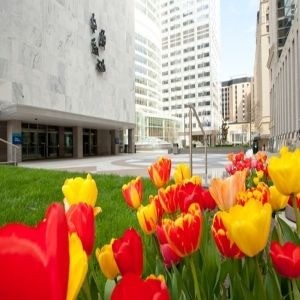 32nd Annual Internal Medicine Board Review 2023