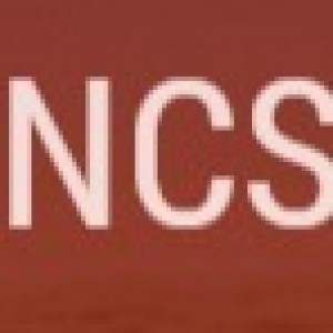15th International Conference on Network and Communications Security (NCS 2023)