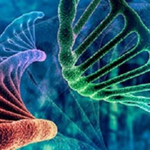 Webinar: Naturally Occurring Sensitive Nucleic Acids, Applications and Chemical Synthesis