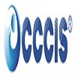 4th International Conference on Computer Communication and Information Systems (CCCIS 2024)