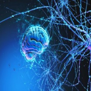 Mayo Clinic Stimulation Therapies for Epilepsy 2023