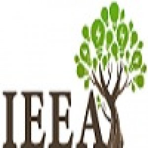 13th International Conference on Informatics, Environment, Energy and Applications (IEEA 2024)