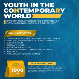International Youth Diplomacy Conference (IYDC) 