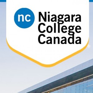 Niagara College Canada Spot Assessment
