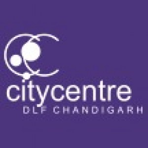 Li'L Champs Fun Camp with Family : Free Registration