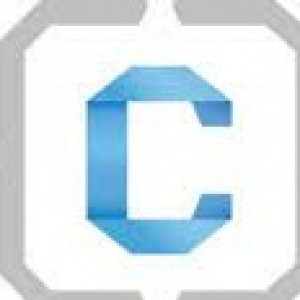 Chief Data And Analytics Officers, Financial Services