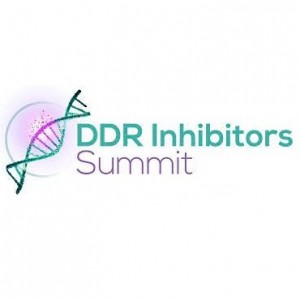 6th DDR Inhibitors Summit