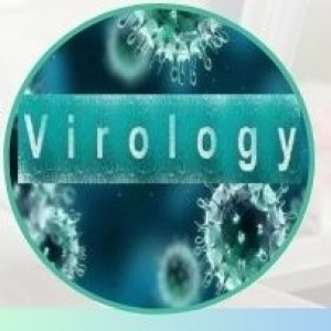 International Conference on Virology(ICV), which will be held at Abu Dhabi,United Arab Emirates, on 10th-11th Aug 2023.