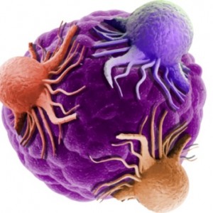 Tumour Models London 2023 - FREE TO ATTEND