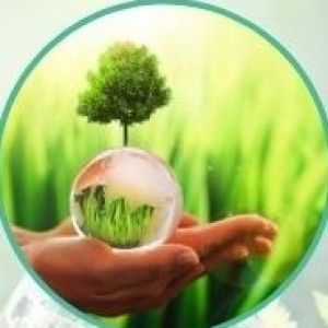 International Conference on Environment and Life Science (ICELS)