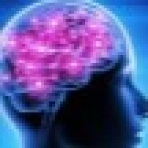 2nd International Conference on NLP and Machine Learning Trends (NLMLT 2023)