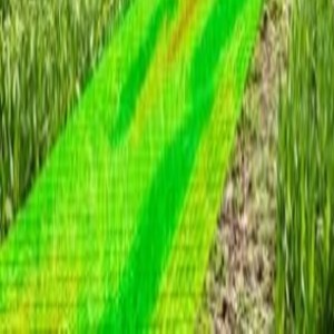 Training Course on Application of GIS in Agriculture and Climate Change