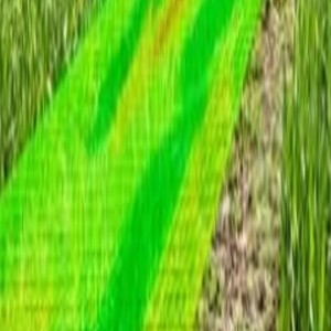 Training Course on Application of GIS in Agriculture and Climate Change