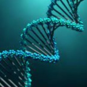 International Conference on GENETICS AND GENOME RESEARCH