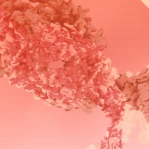 The Immunogenicity & Bioassay Summit