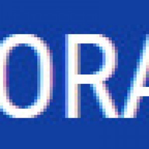 International Conference on Operations Research and Applications (CORAJ 2023)