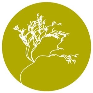 Seagriculture USA 2023 – 2nd International Seaweed Conference USA