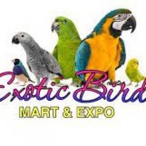 Exotic Bird Mart & Expo 2023