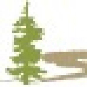 Western Pulp, Paper, and Forest Products Safety & Health Conference