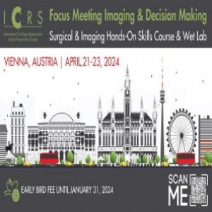 ICRS Focus Meeting Imaging and Decision Making