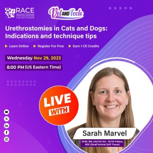 Urethrostomies in Cats and Dogs: Indications and technique tips