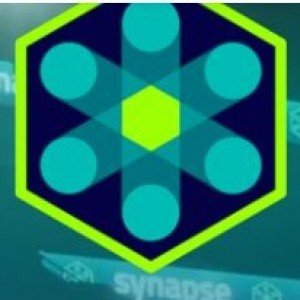 Synapse Summit