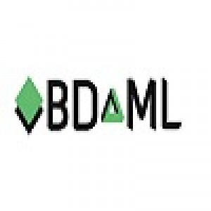 7th International Conference on Big Data and Machine Learning (BDML 2024)