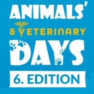 ANIMAL DAYS