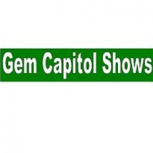 Gun Show Georgia 