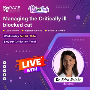 Managing the Critically Ill Blocked Cat