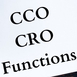 How To Establish an Effective Chief Compliance Officer's (CCO) or Chief Risk Officer's (CRO) Function - Organization and Responsibilities