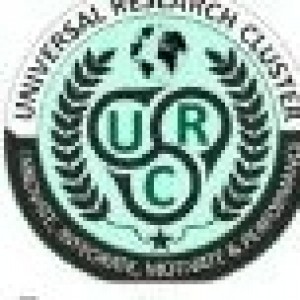 International Conference of Education, Research and Innovation (ICERI)