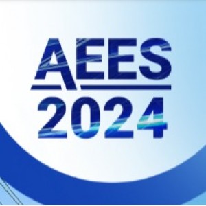 5th International Conference on Advanced Electrical and Energy Systems (AEES 2024)