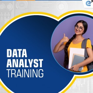 Data Analyst Training in Delhi