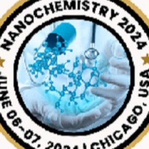 Nanochemistry 2024 