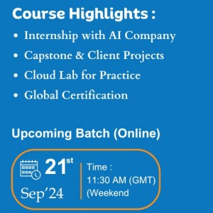 Data Scientist Online Course in Singapore