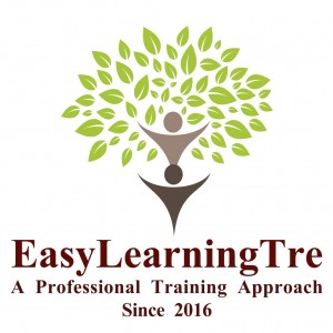 Certified ScrumMaster® (CSM®) Training & Certification in Chennai