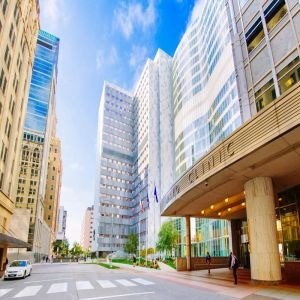 50th Annual Professional Nurse Educators Group (PNEG) 2025 National Nursing Conference