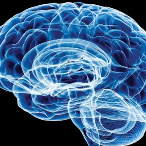 International Conference on Neuroscience