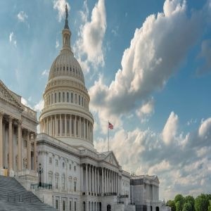 Echocardiography in the Nation's Capital: Practical Review of A_d_u_l_t Echocardiography