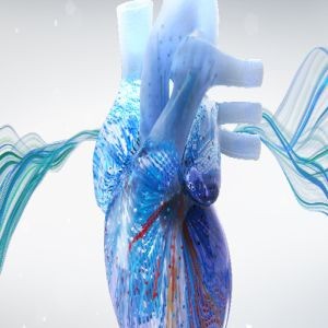 Electrophysiology Review for Boards and Recertification