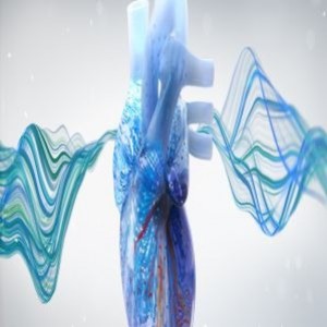Webinar: Electrophysiology Board Review Insights: Atrial Arrhythmias Virtual Town Hall