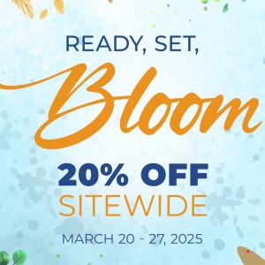 Spring Sale 2025