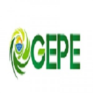 2025 International Conference on Green Energy and Power Engineering(GEPE 2025)