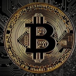 Wealth Forge AI Rezension