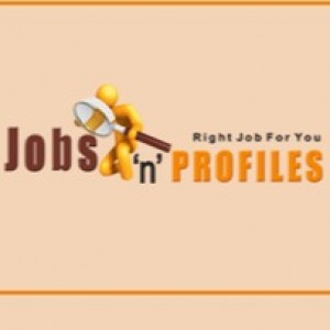 Virtual IT Job Fair 2025 – Powered by Jobs 'n' Profiles