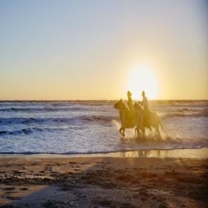 Mayo Clinic Radiology at Amelia Island